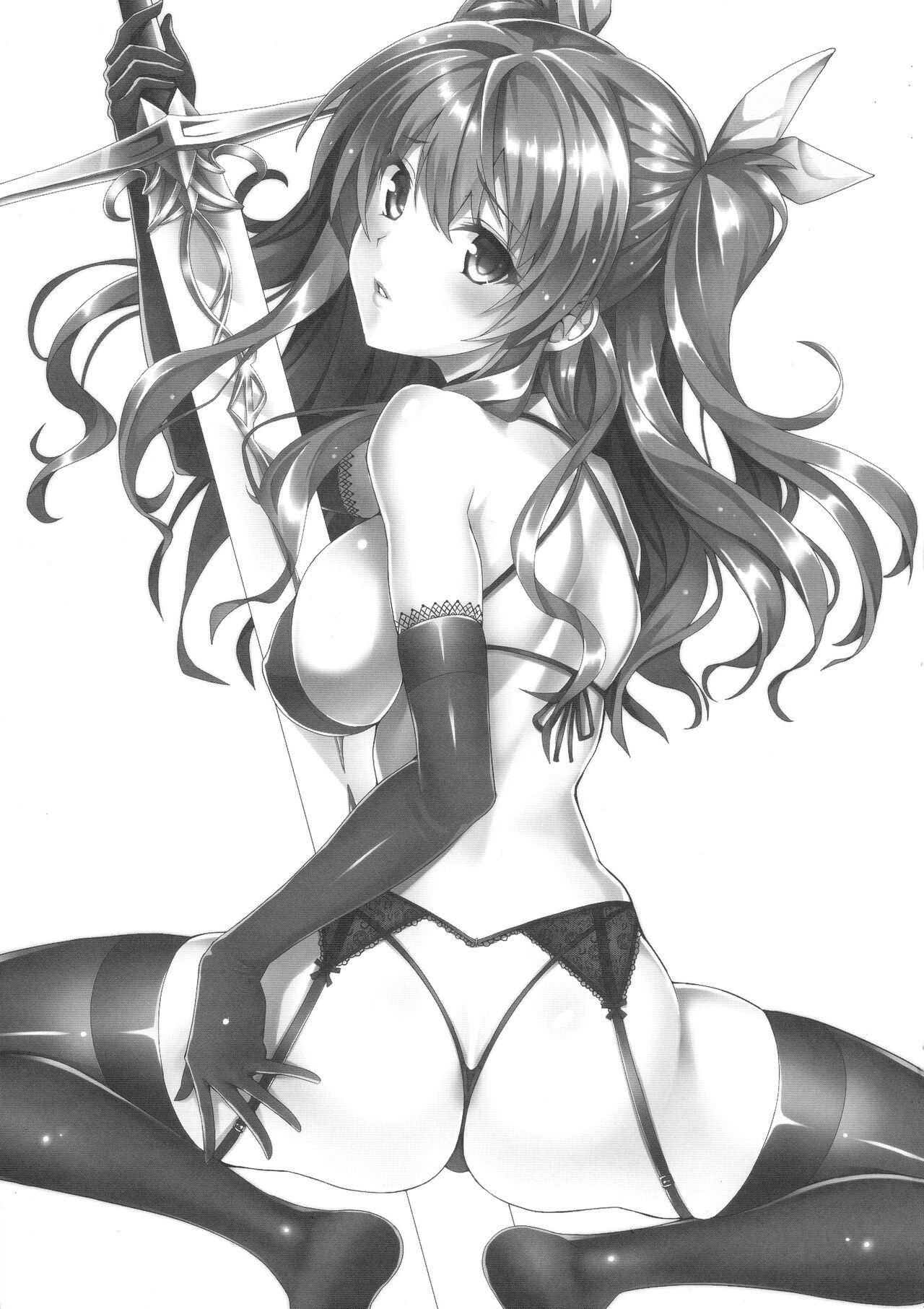 Hairypussy Koumon Kakumei Stella* - *analrisk stella* - Rakudai kishi no cavalry | chivalry of a failed knight Fishnet - Picture 3