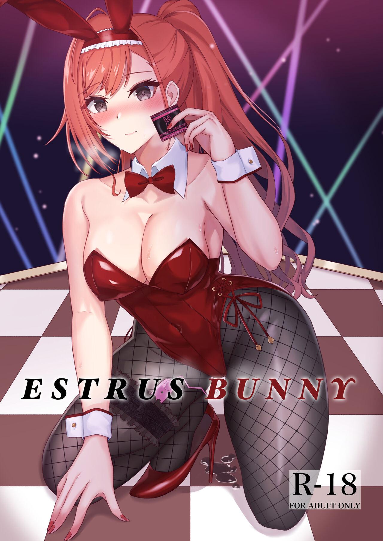 Perrito ESTRUS BUNNY - The idolmaster Fuck - Picture 1