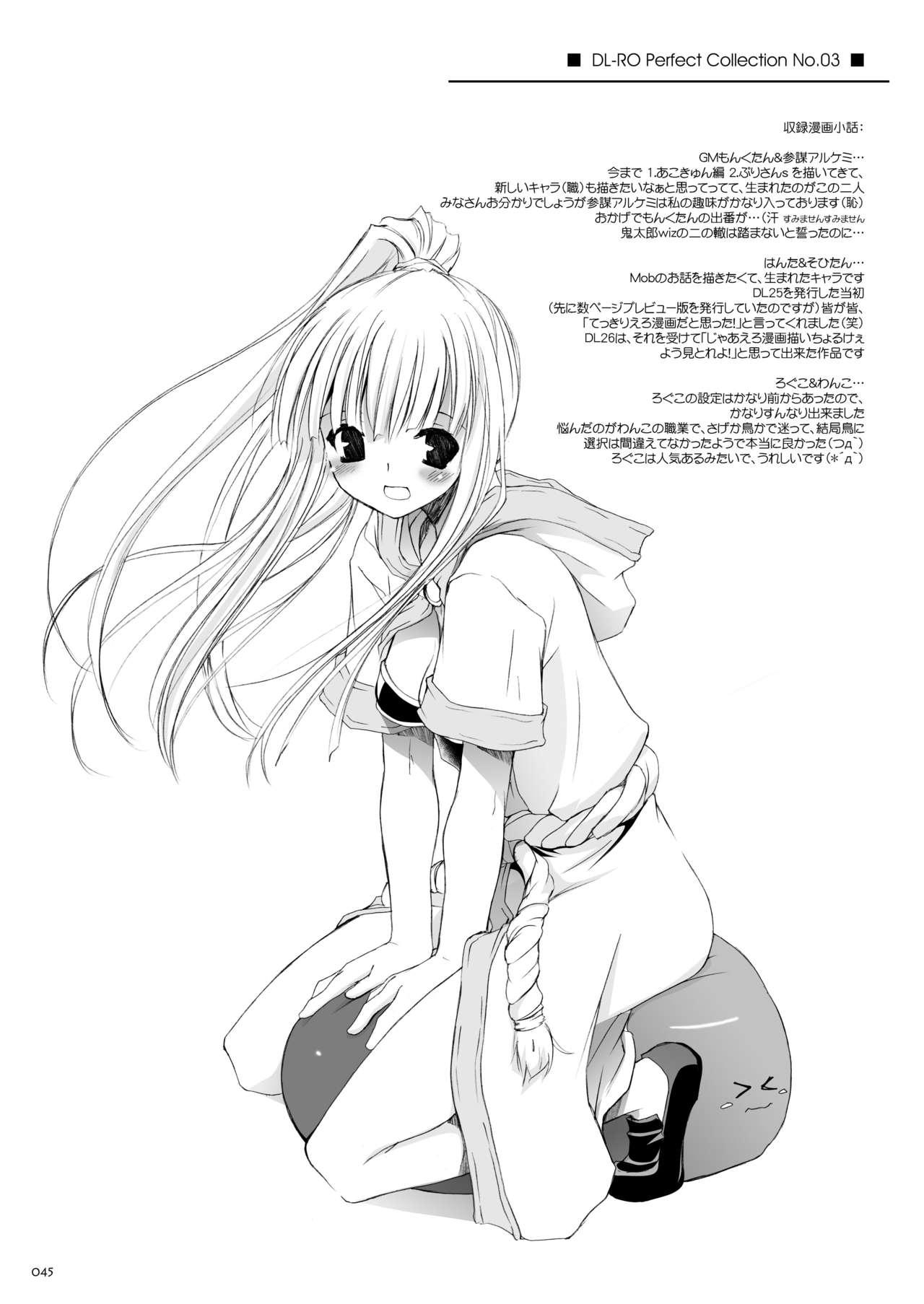 [Digital Lover (Nakajima Yuka)] DL-RO Soushuuhen 03 - DL-RO Perfect Collection No. 03 (Ragnarok Online) [Digital] [English] 45