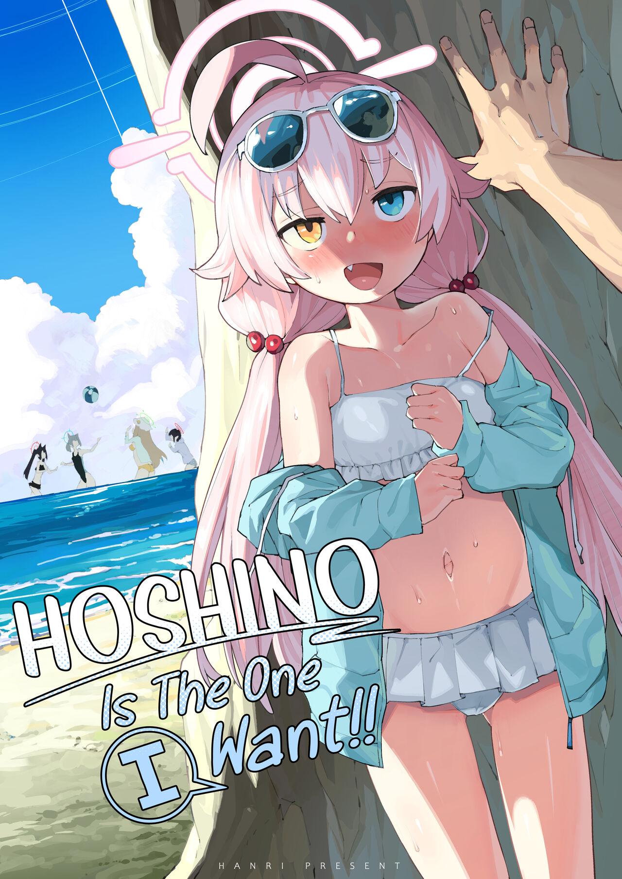 [Henry Plaza (Henrybird)] Hoshino ga (Watashi wa) Iin da yo!! | HOSHINO Is The One I Want!! (Blue Archive) [English] [Sloppy Seconds] [Digital] 0