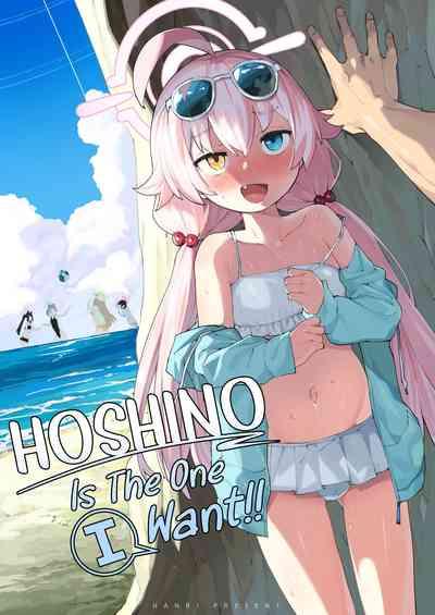 Hoshino gaIin da yo!! | HOSHINO Is The One I Want!! 0