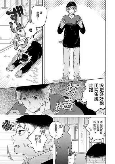 小狐狸老师永不气馁!!! 9