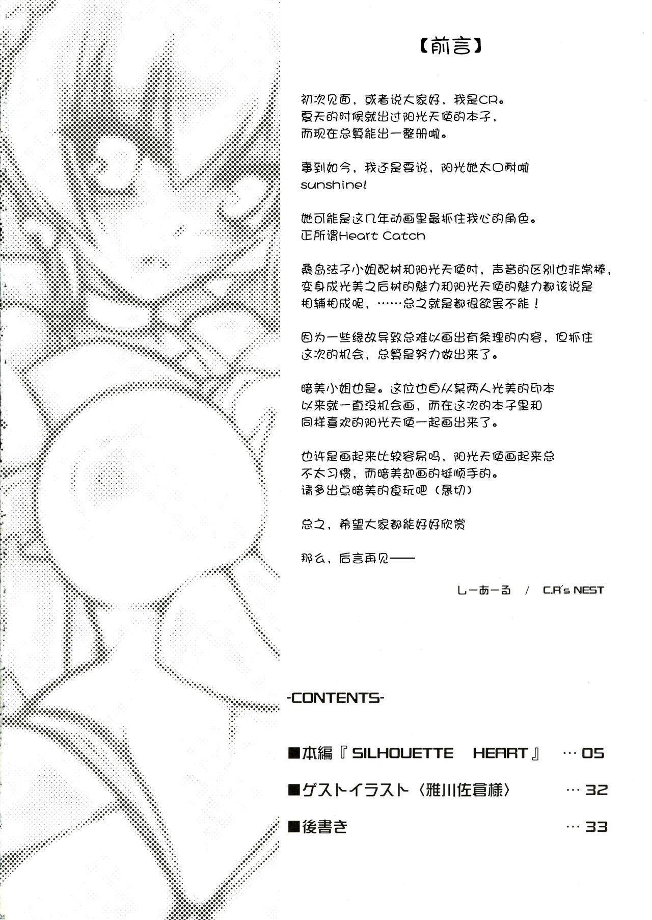 Punk (Puniket 22) [C.R's NEST (Miyabikawa Sakura, C.R)] SILHOUETTE HEART 心的剪影 (HeartCatch Precure!)【Chinese】【个人汉化】 - Heartcatch precure Massage - Page 4