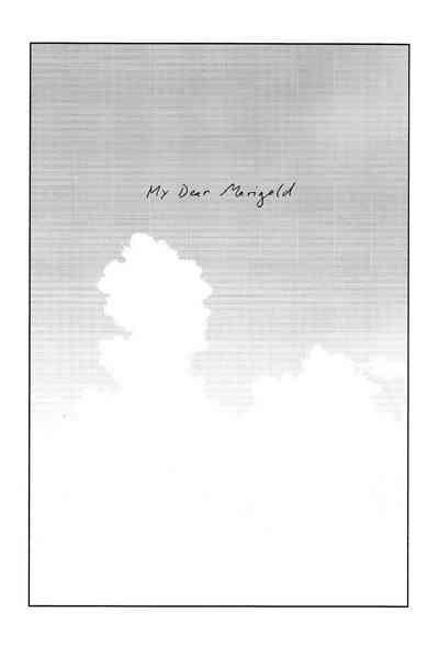 Marigold e | My Dear Marigold 3