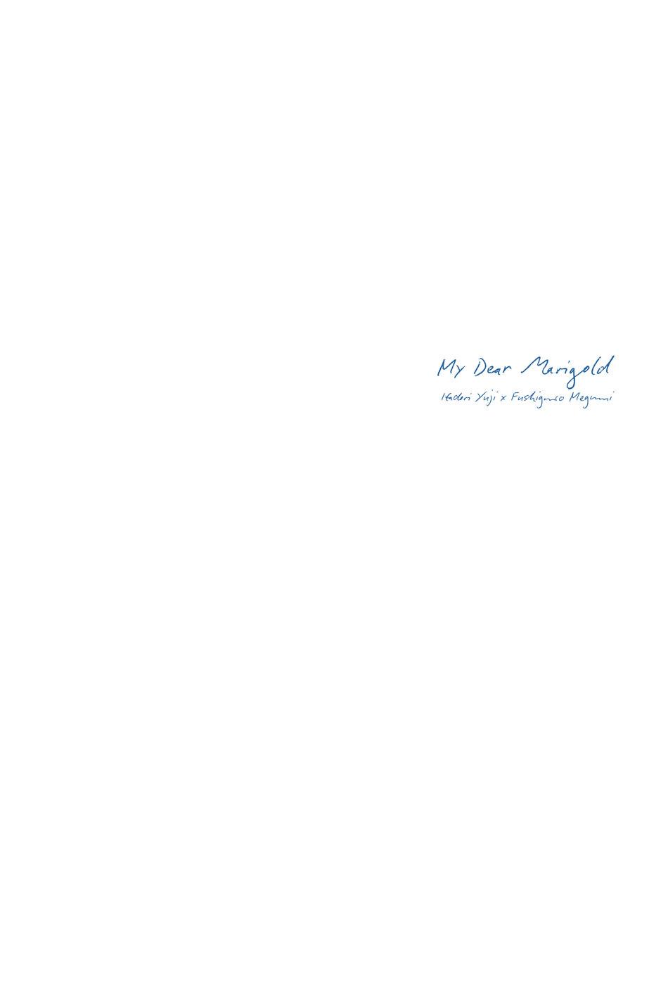 Marigold e | My Dear Marigold 41