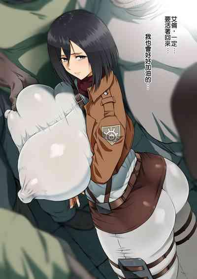 Mikasa from the service team 1