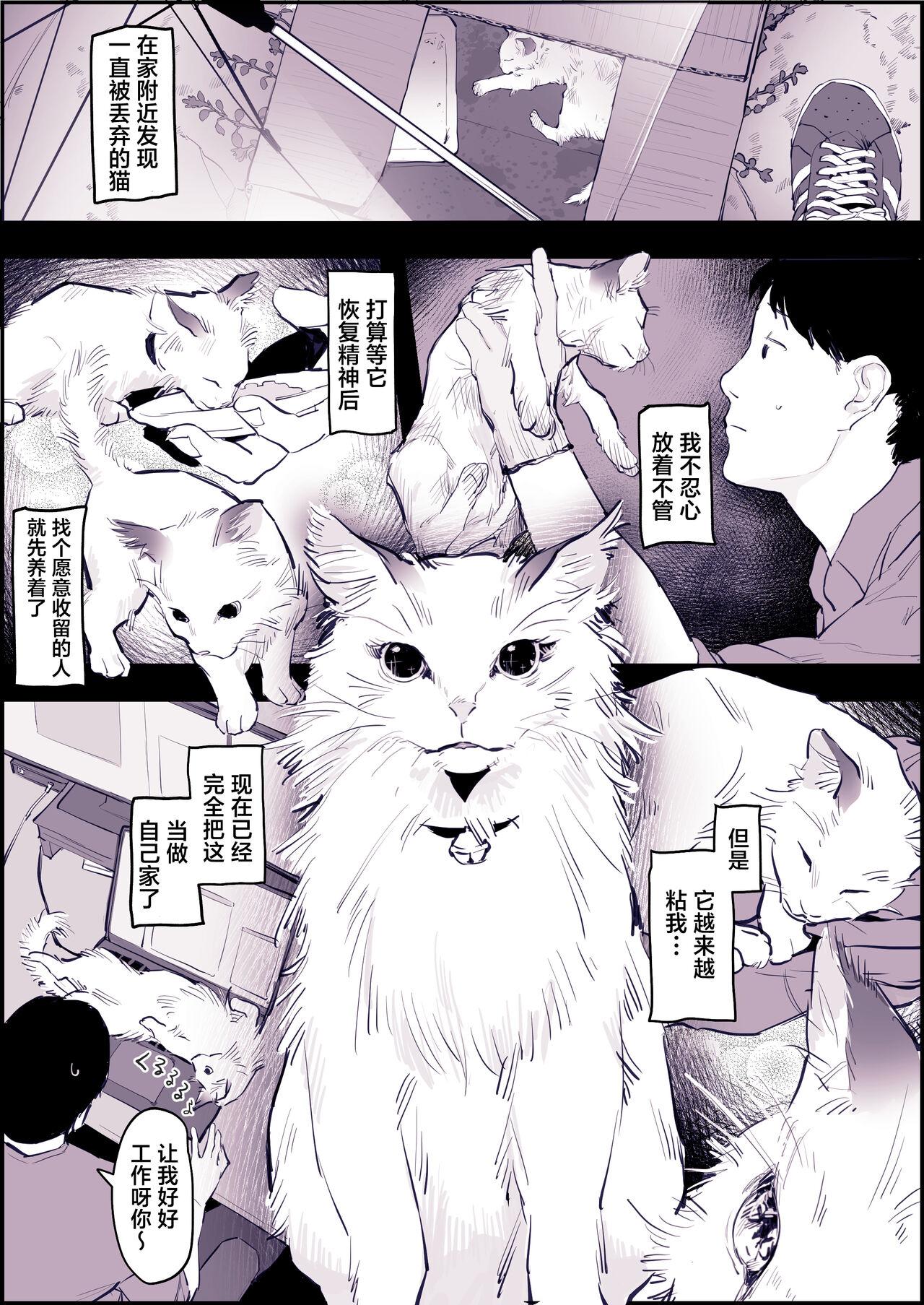 Longhair ねこ Mulata - Page 2