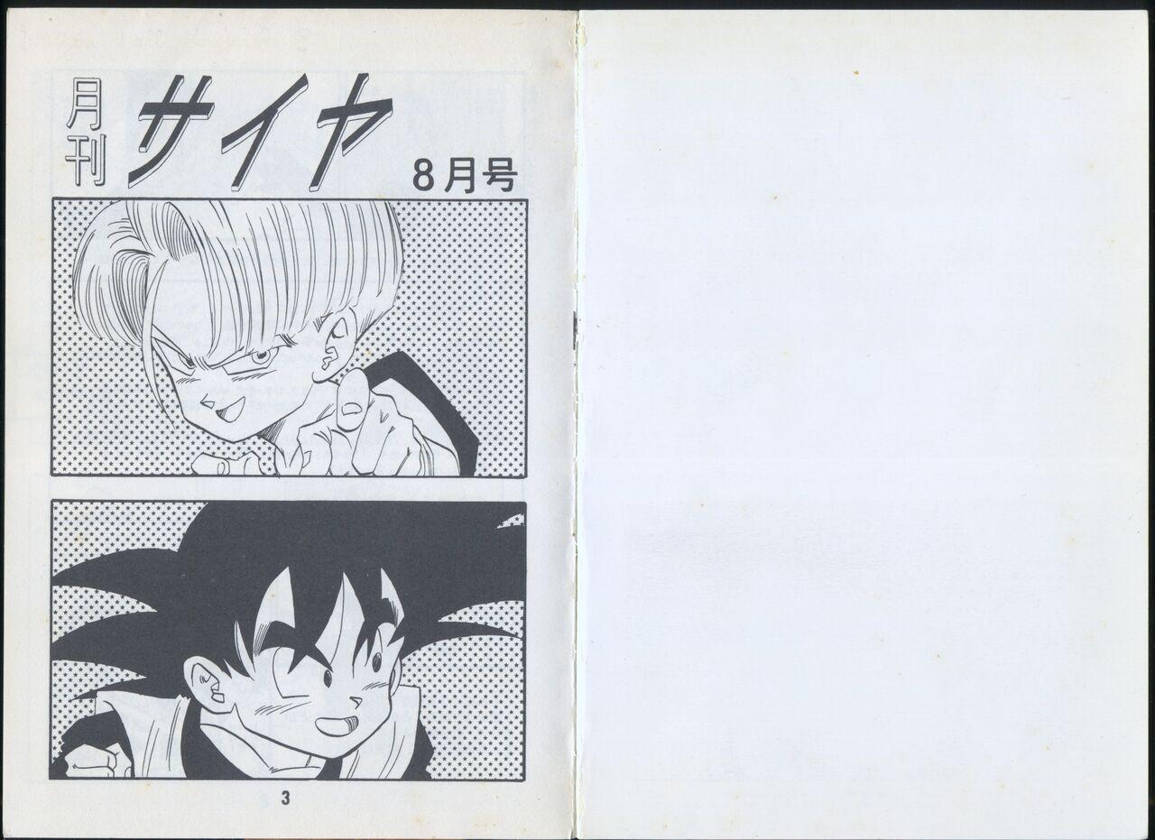 Old Young Saiyan Monthly n°25, August 1993, 2nd anniversary Arabe - Picture 2