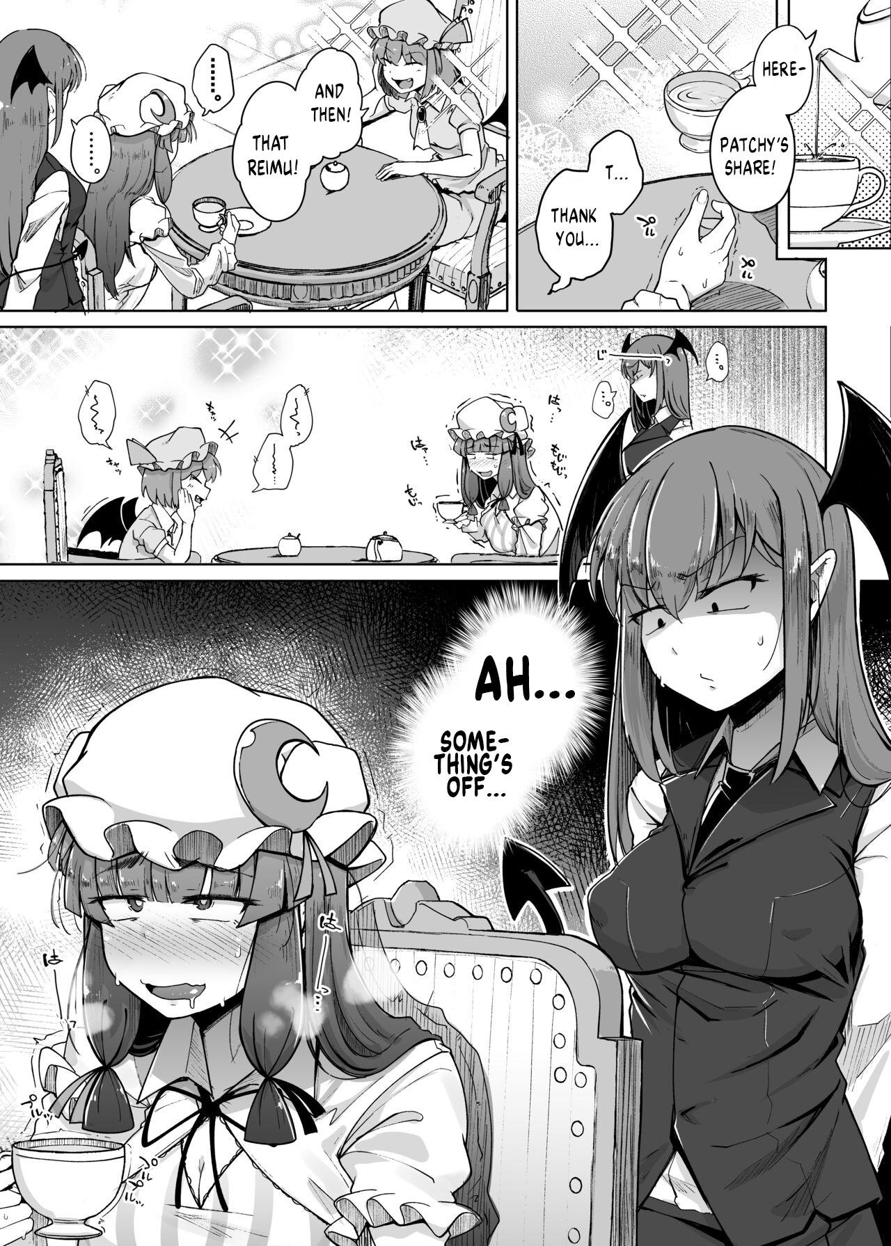 Nylon Ana to Muttsuri Dosukebe Daitoshokan 5 | The Hole and the Closet Perverted Unmoving Great Library 5 - Touhou project Porno Amateur - Page 3