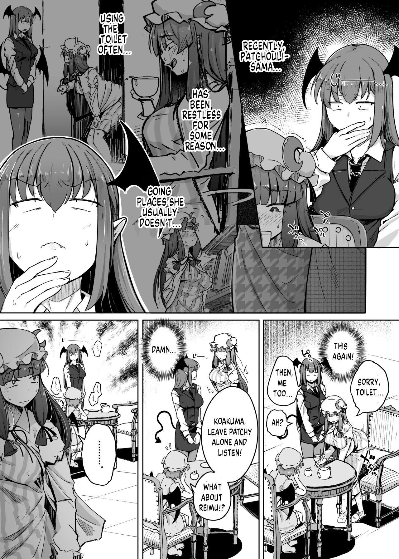 Nylon Ana to Muttsuri Dosukebe Daitoshokan 5 | The Hole and the Closet Perverted Unmoving Great Library 5 - Touhou project Porno Amateur - Page 4