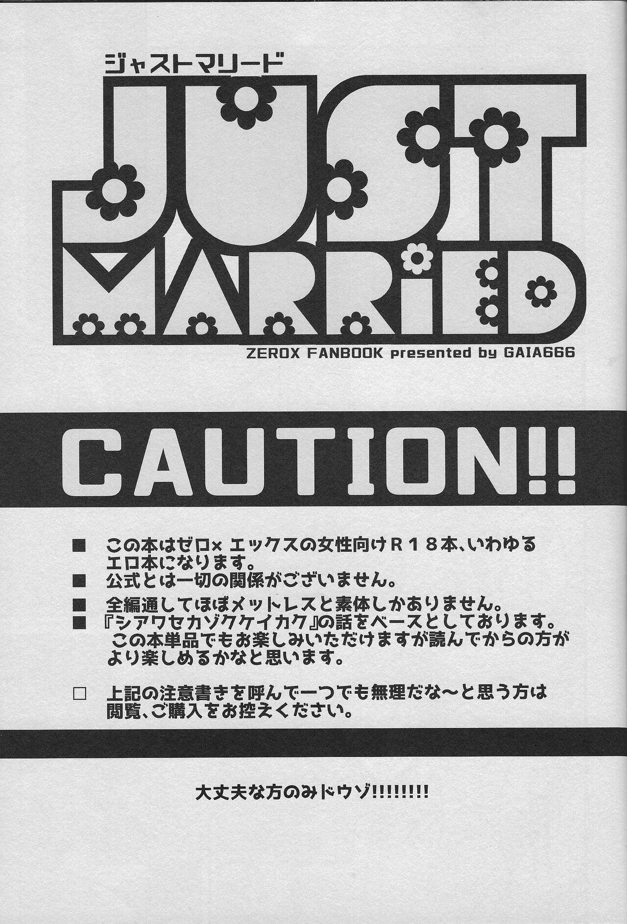 JUST MARRIED 1