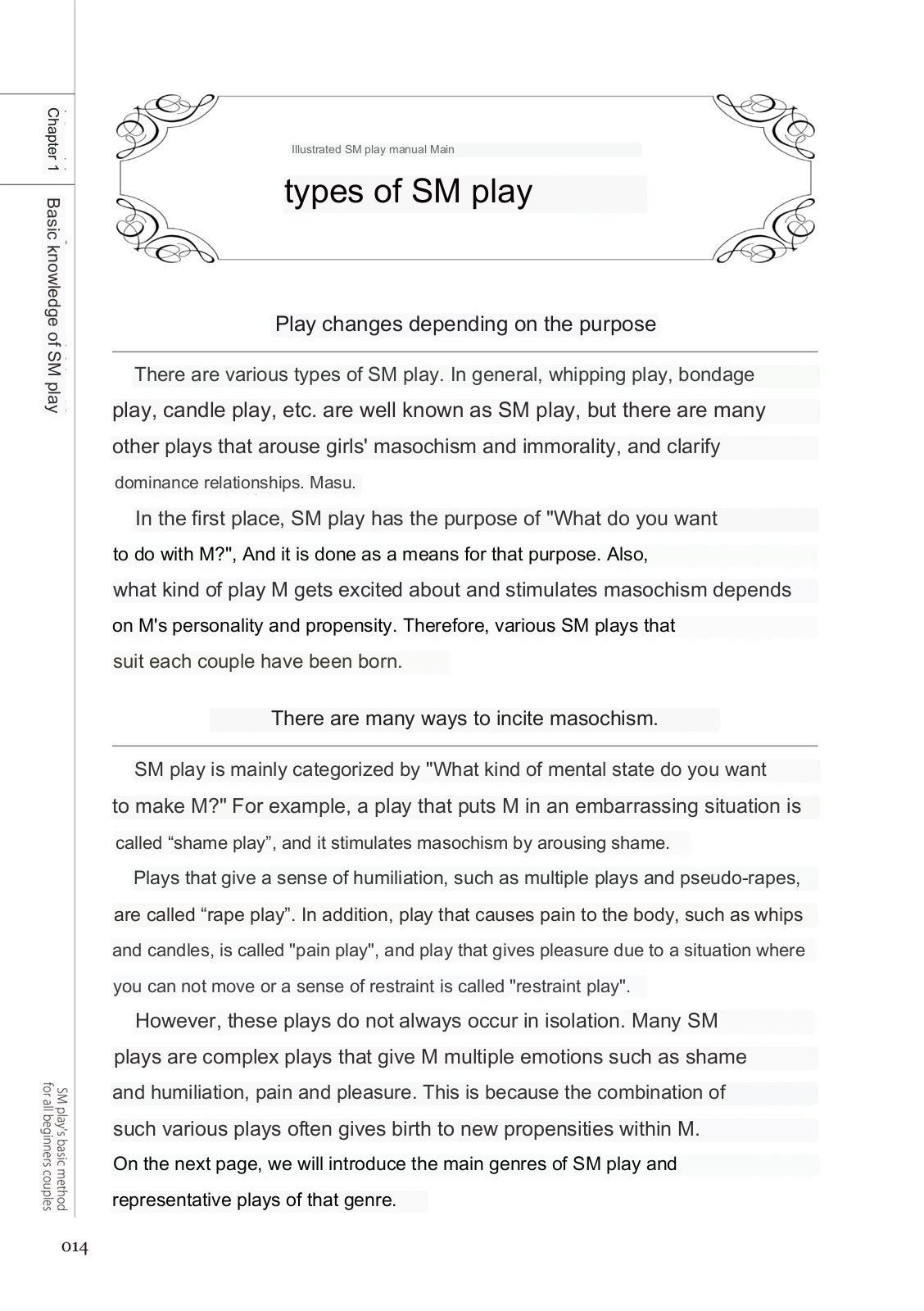 Matures SM play manual Little - Page 12