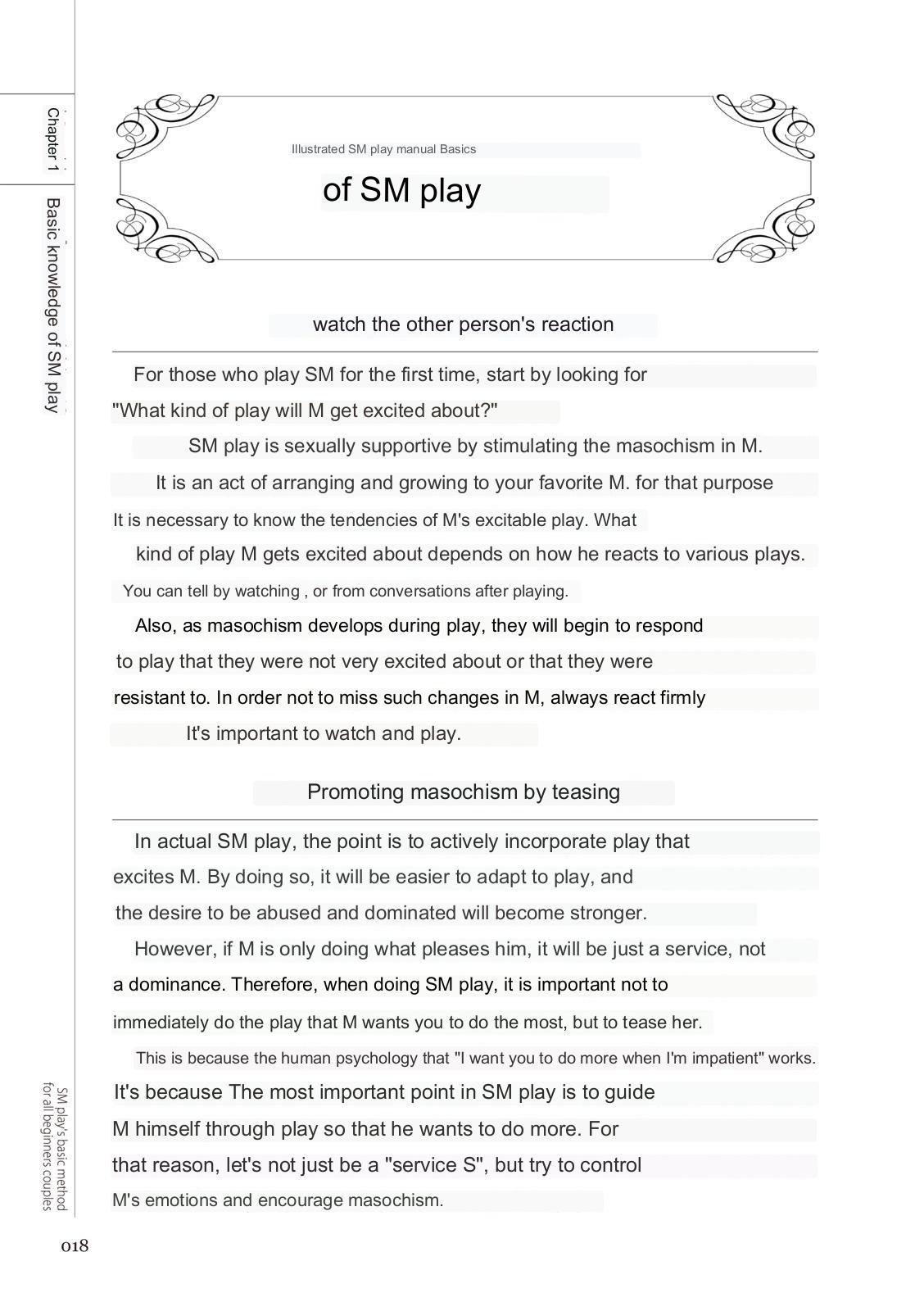 SM play manual 15