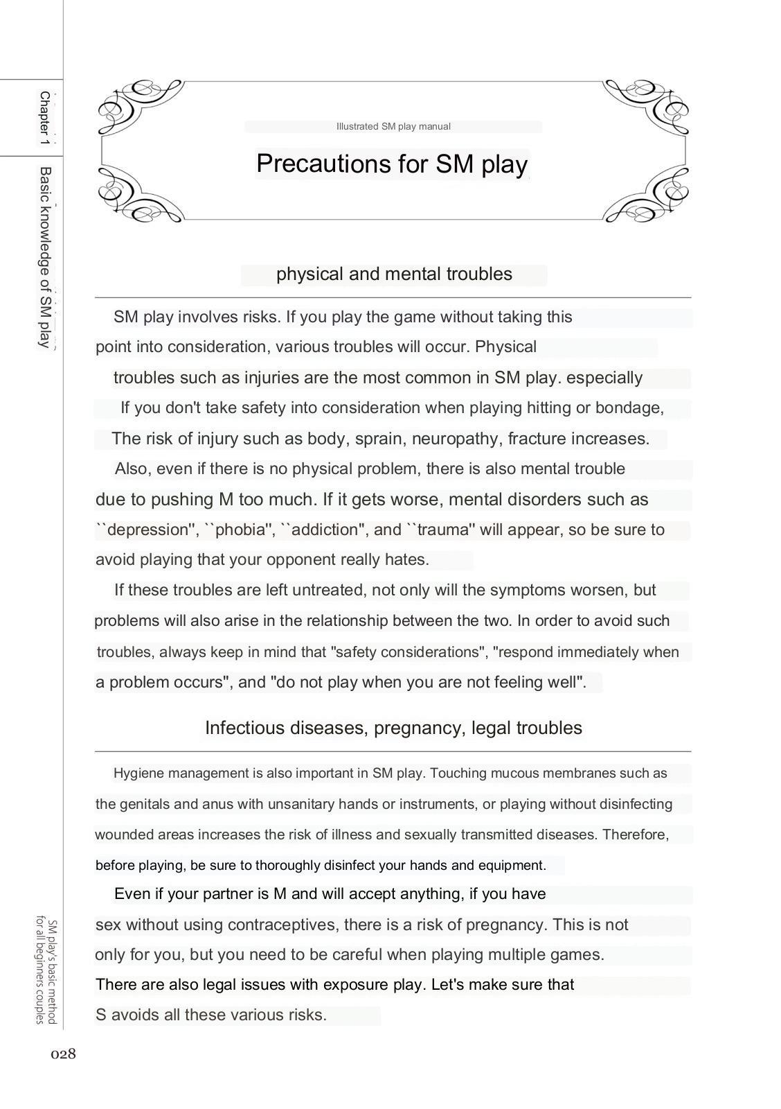 SM play manual 25