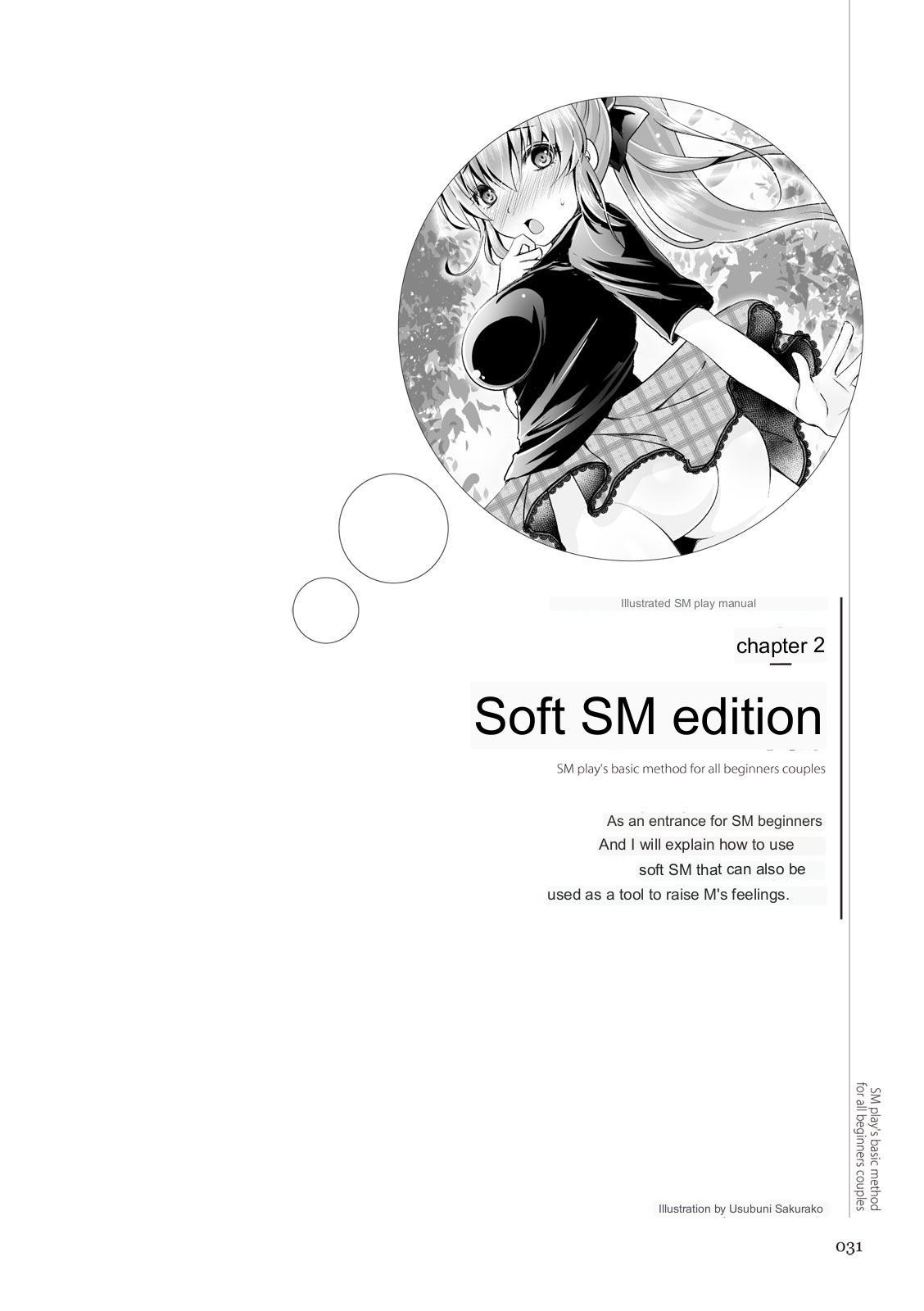 SM play manual 28