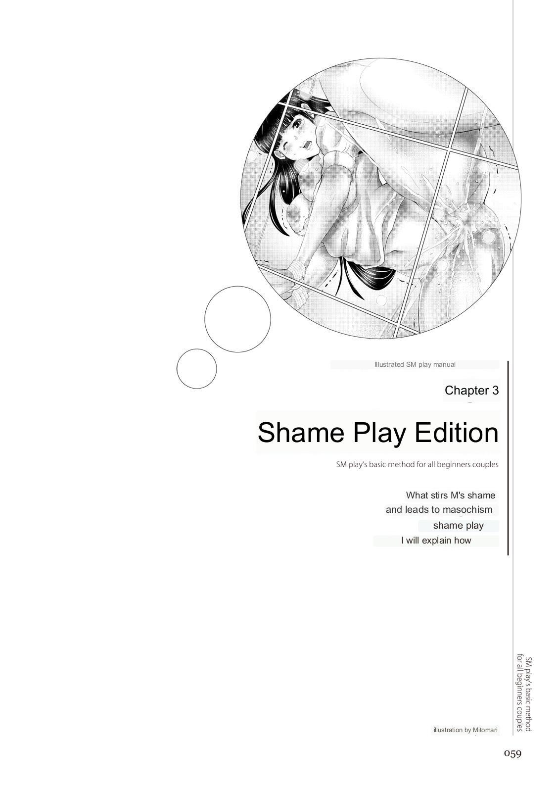 SM play manual 56