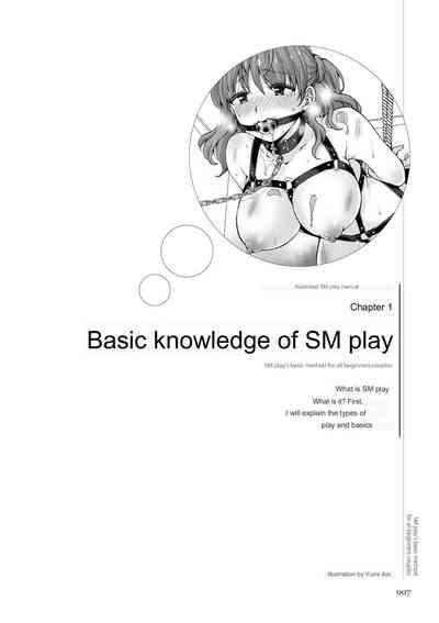 SM play manual 5