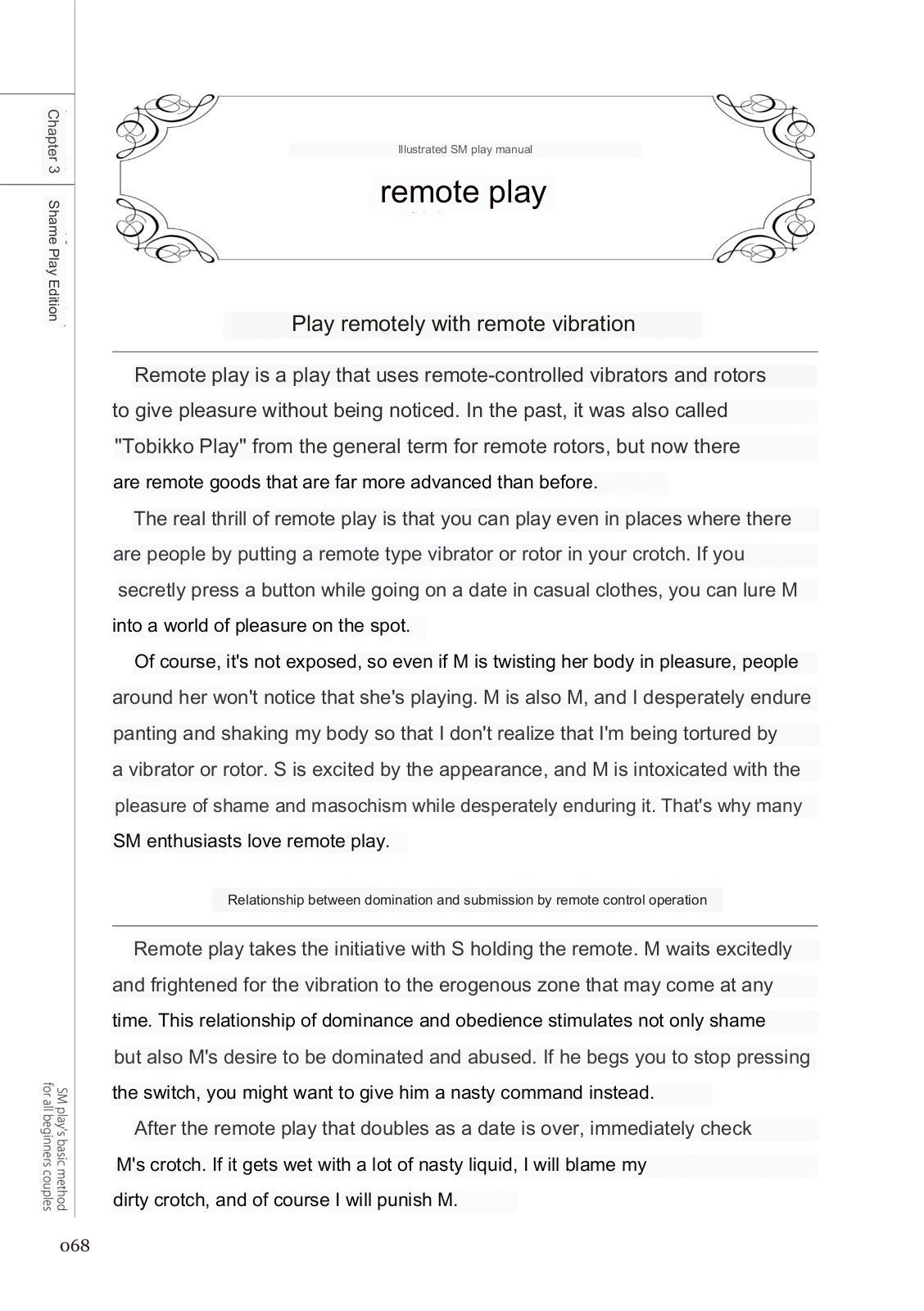 SM play manual 65