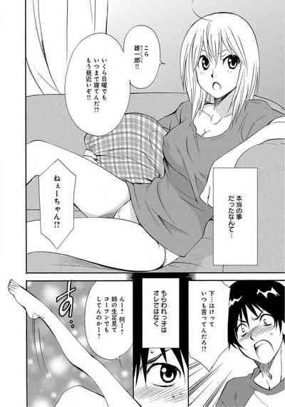 Ane no Nikumitsu 3