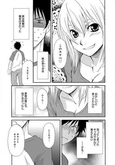 Ane no Nikumitsu 4
