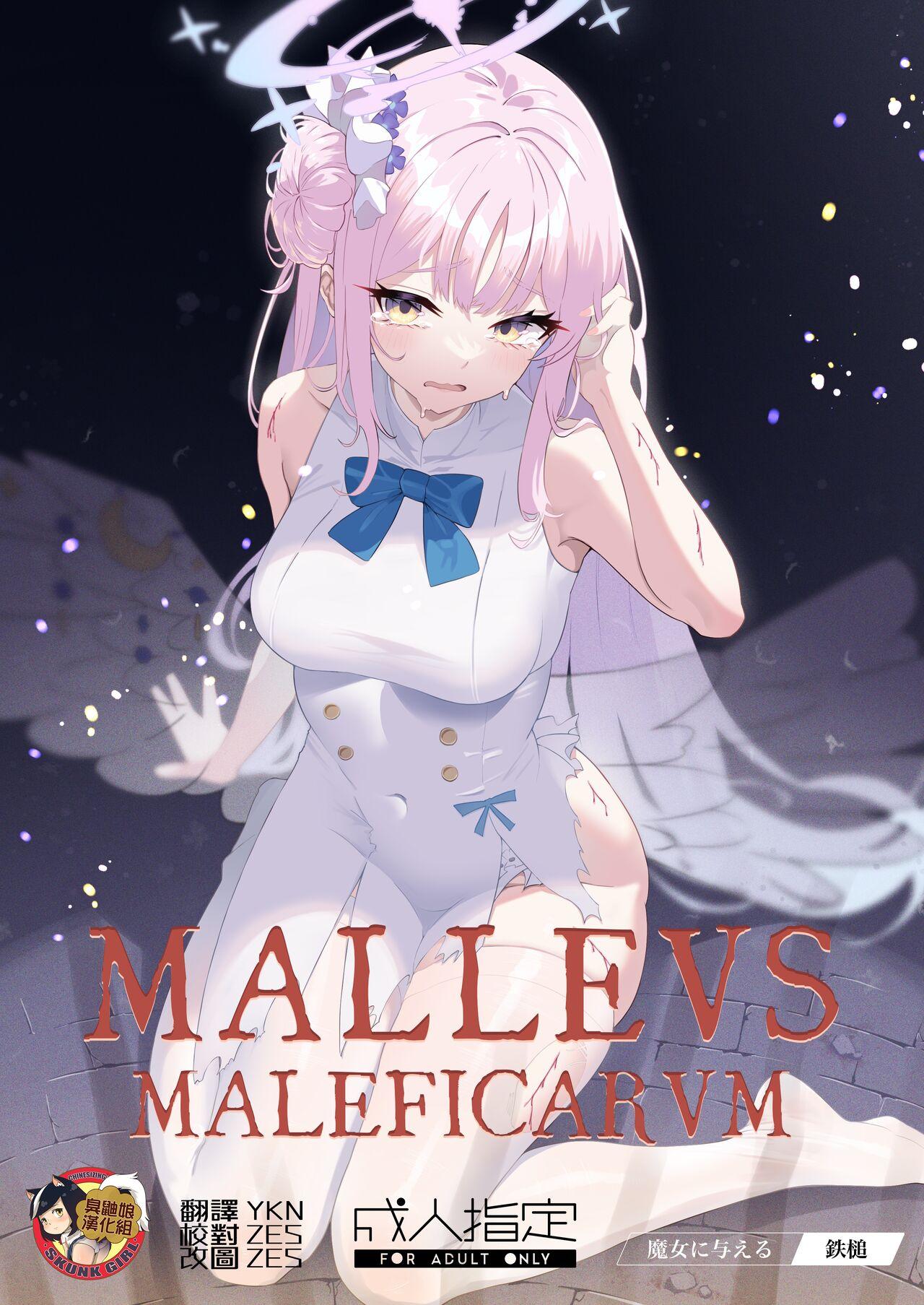 Malleus Maleficarum 1