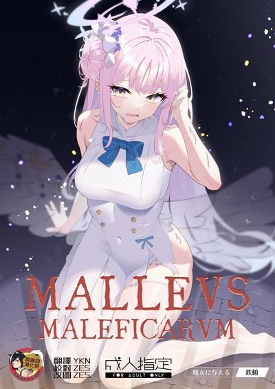 Malleus Maleficarum 0