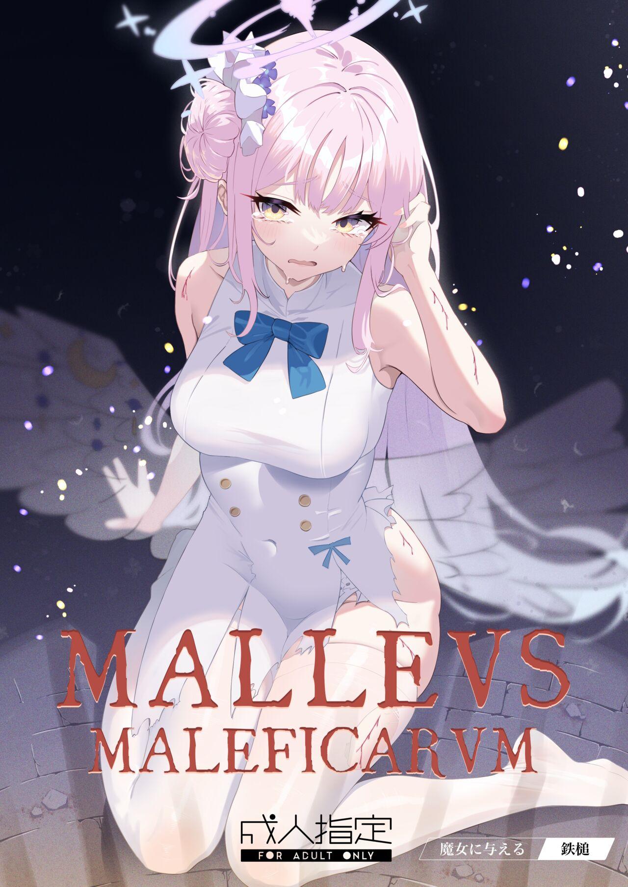 Malleus Maleficarum 2