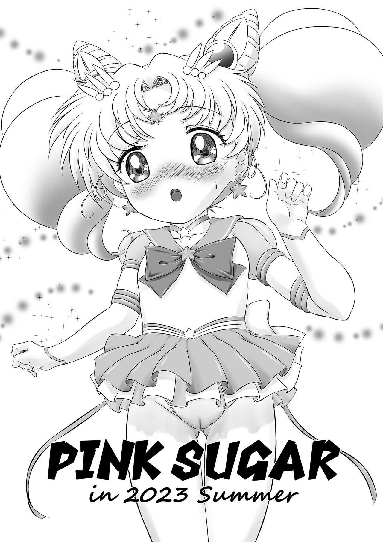 Pegging PINK SUGAR in 2023 Summer - Sailor moon | bishoujo senshi sailor moon Tinytits - Page 2