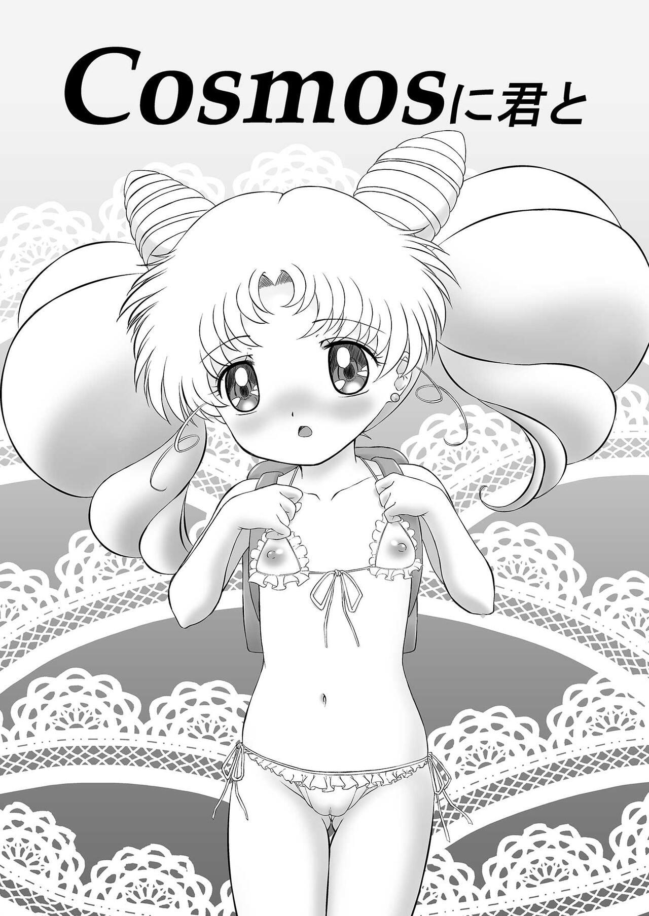 Pegging PINK SUGAR in 2023 Summer - Sailor moon | bishoujo senshi sailor moon Tinytits - Page 3