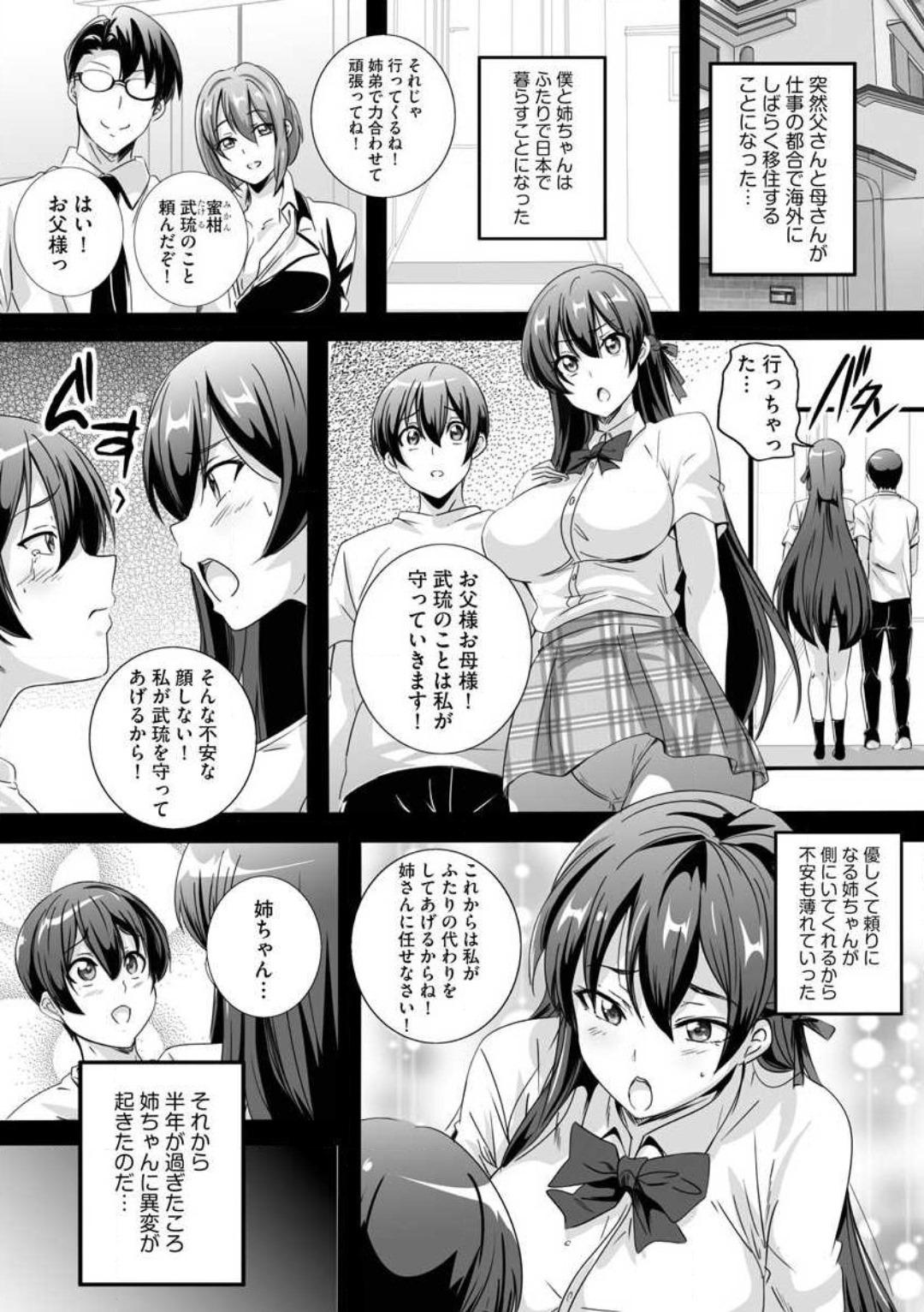 Bj [Washizuka Sho] Bitch ni Natta Kuro Gal Nee-chan to Irekawari Seikatsu 1-3 Hardcore Porn - Page 3