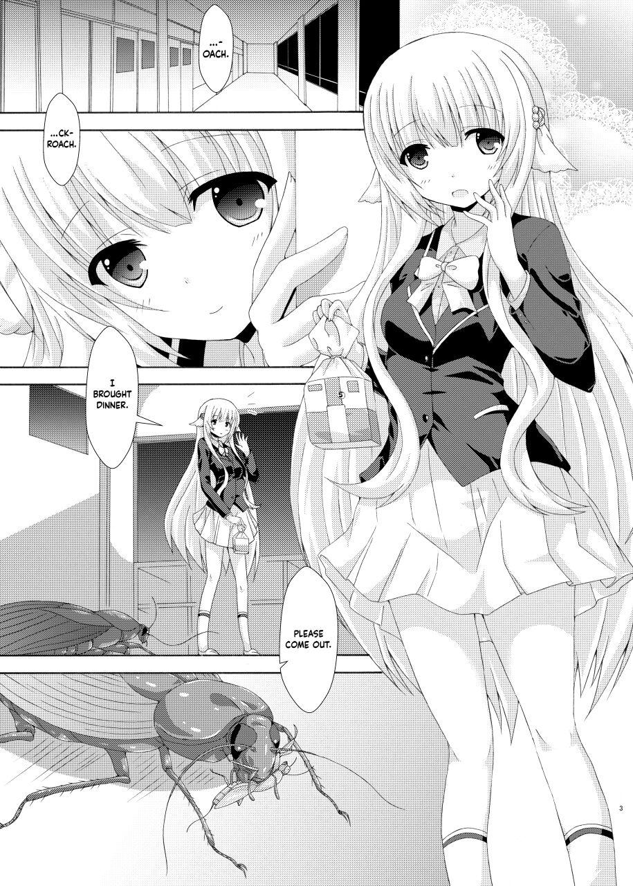 Huge Seito Kaichou to Yofuke no Mikkai | Late-Night Secret Rendezvous With The Student Council President - Flower knight girl Rico - Page 2