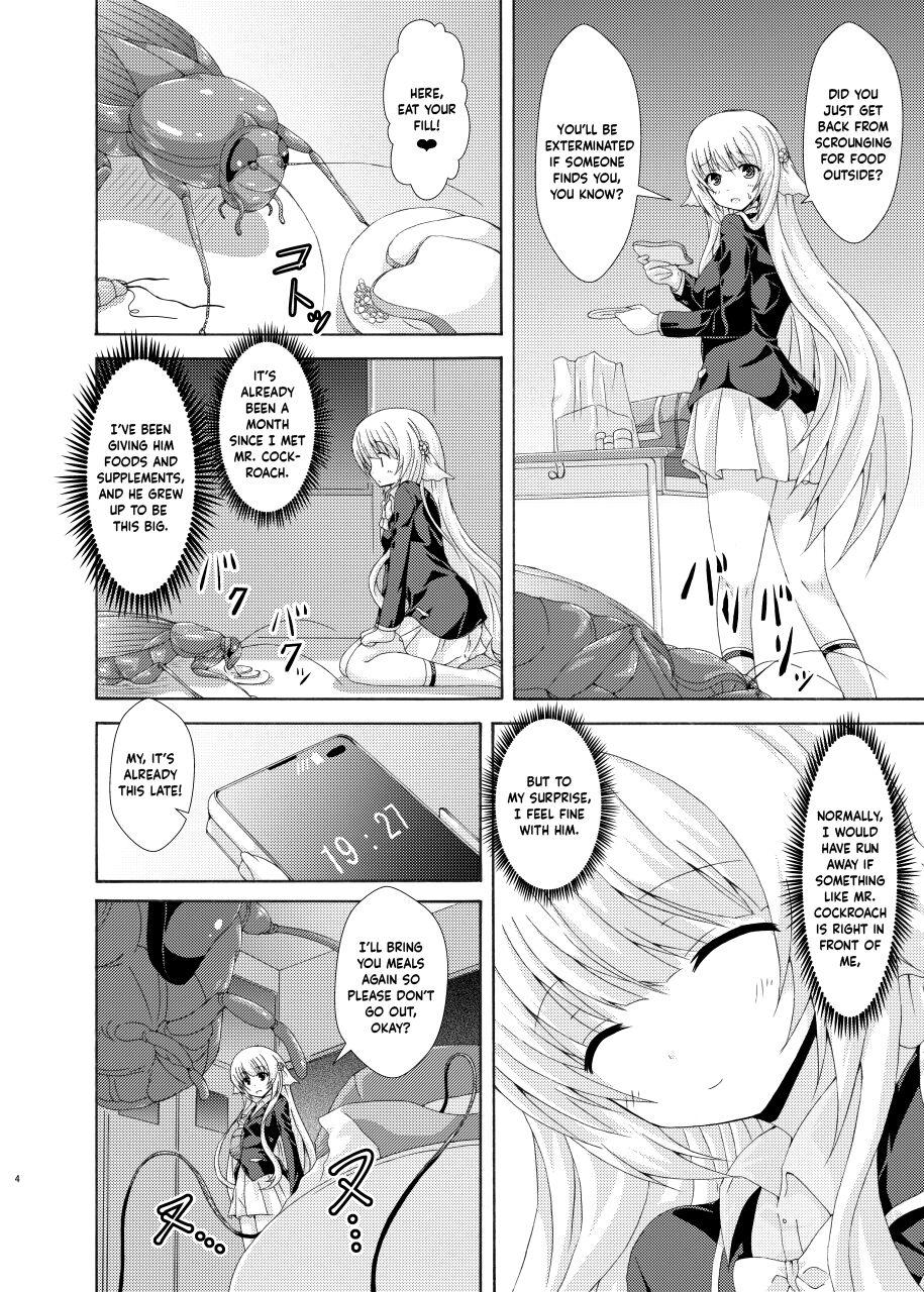 Huge Seito Kaichou to Yofuke no Mikkai | Late-Night Secret Rendezvous With The Student Council President - Flower knight girl Rico - Page 3