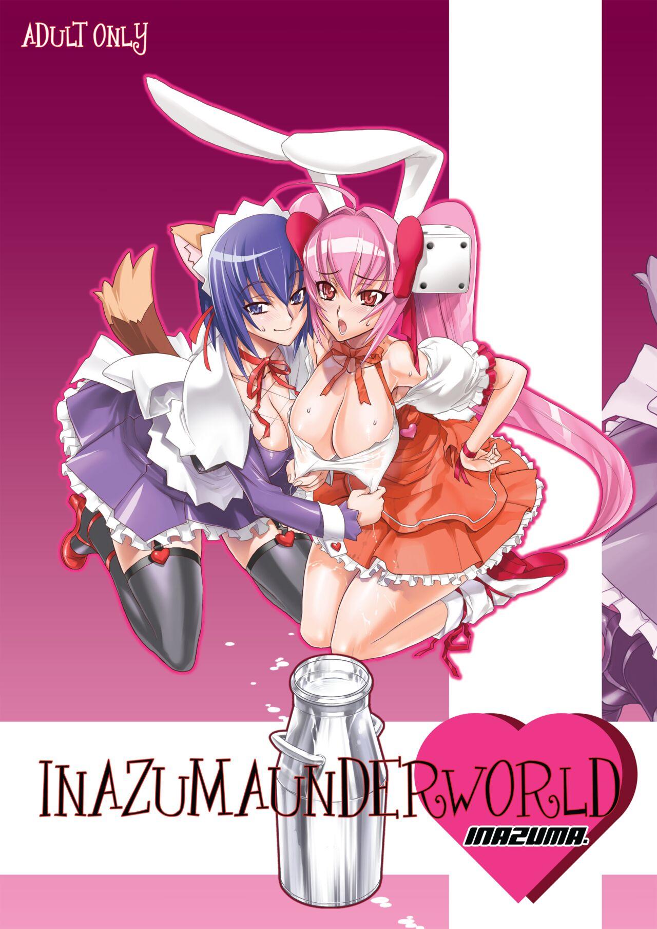 Digital Accel Works - Inazuma Underworld 1+2 1