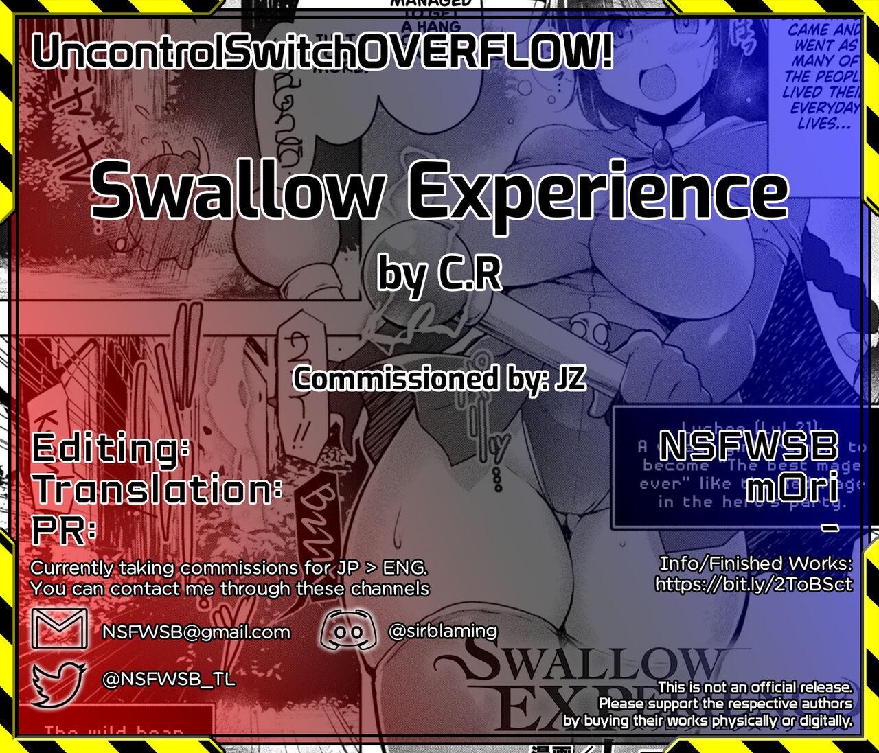 Swallow Experience 25