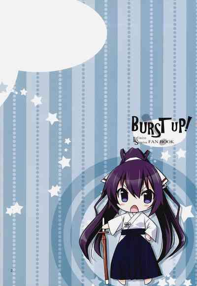 Burst Up! Infinite Stratos FAN BOOK 2