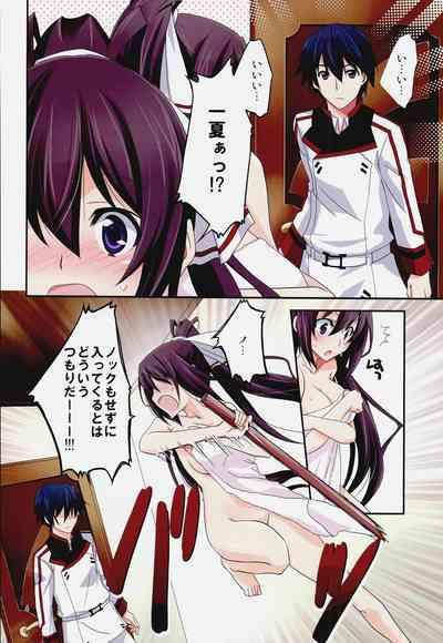 Burst Up! Infinite Stratos FAN BOOK 4