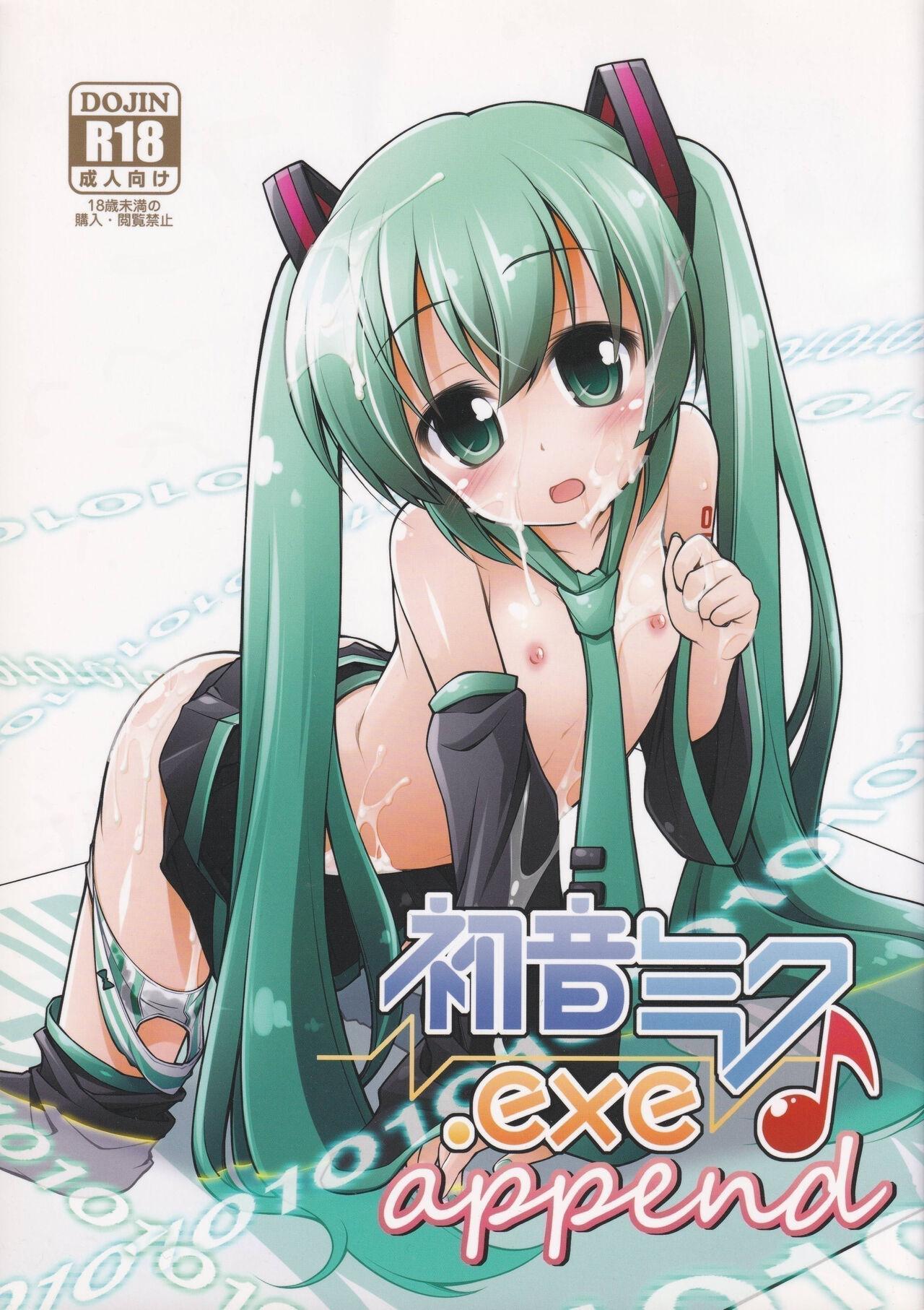 Private Hatsune Miku.exe append - Vocaloid Teensex - Picture 1