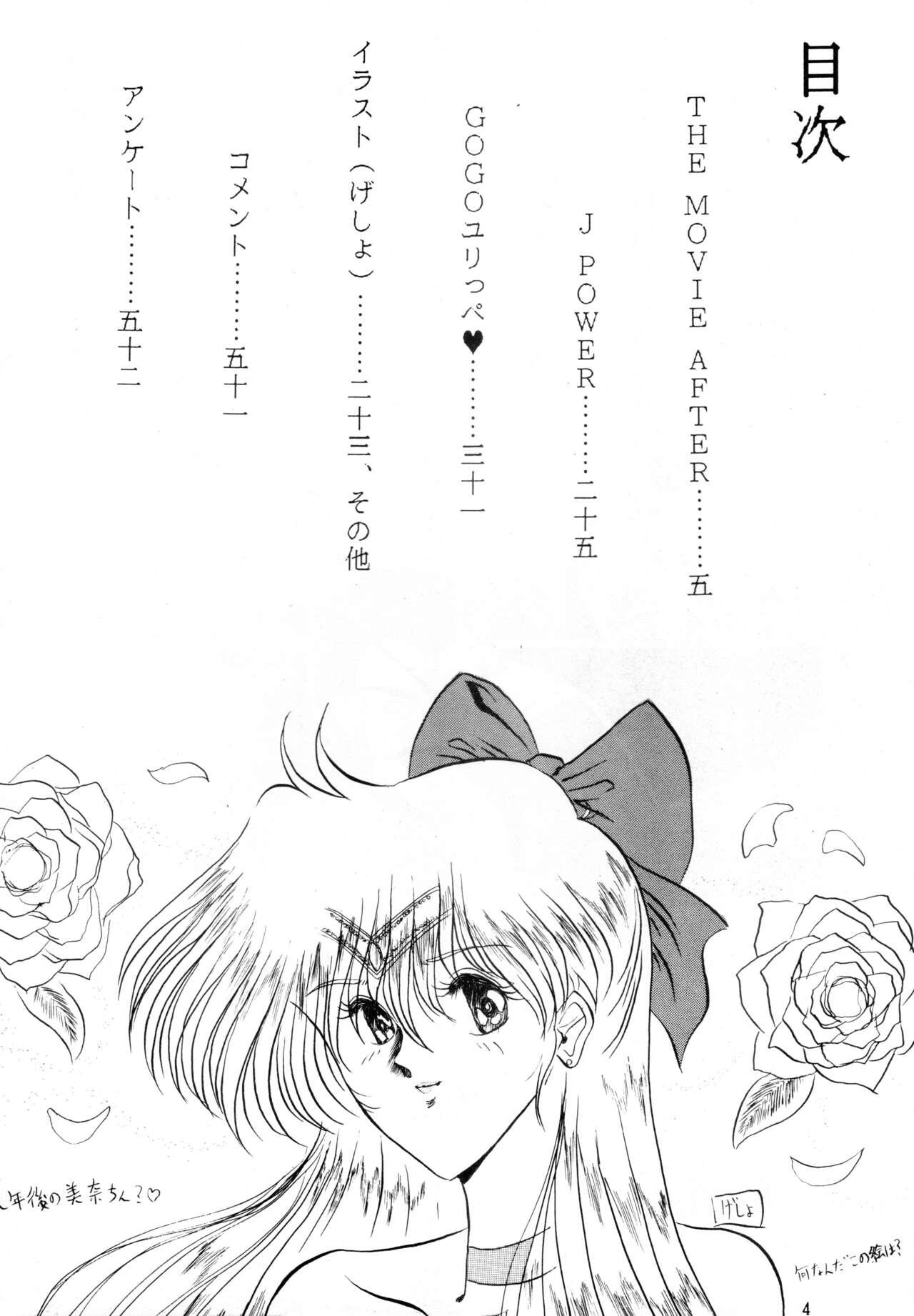 Titten THE OMNIVOUS VI - Sailor moon | bishoujo senshi sailor moon Dirty pair flash Bukkake - Page 3