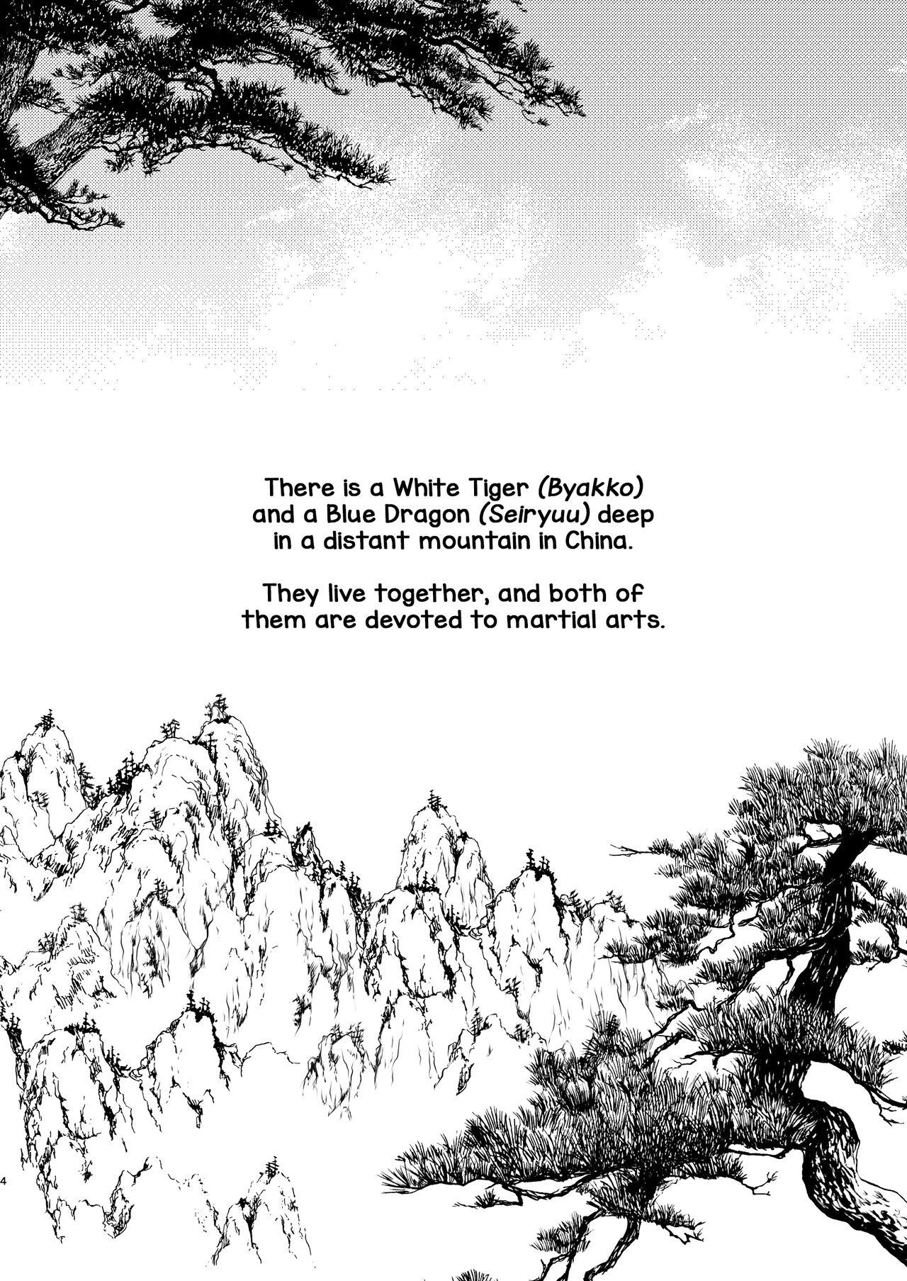 Bucetuda Byakko-kun to Seiryuu - Original Step Fantasy - Page 4