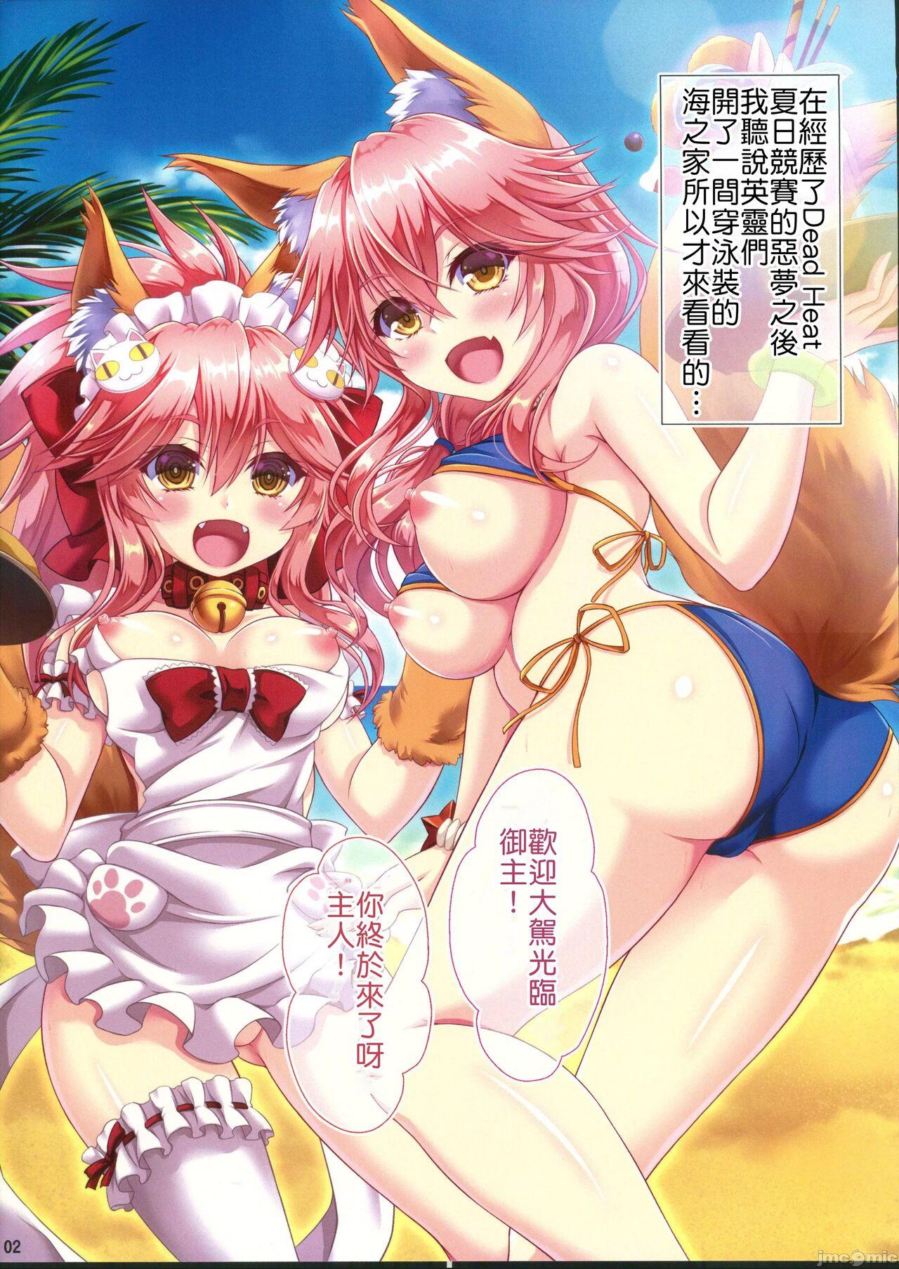 Gay Brownhair HGO Fes - Fate grand order Gritona - Picture 3
