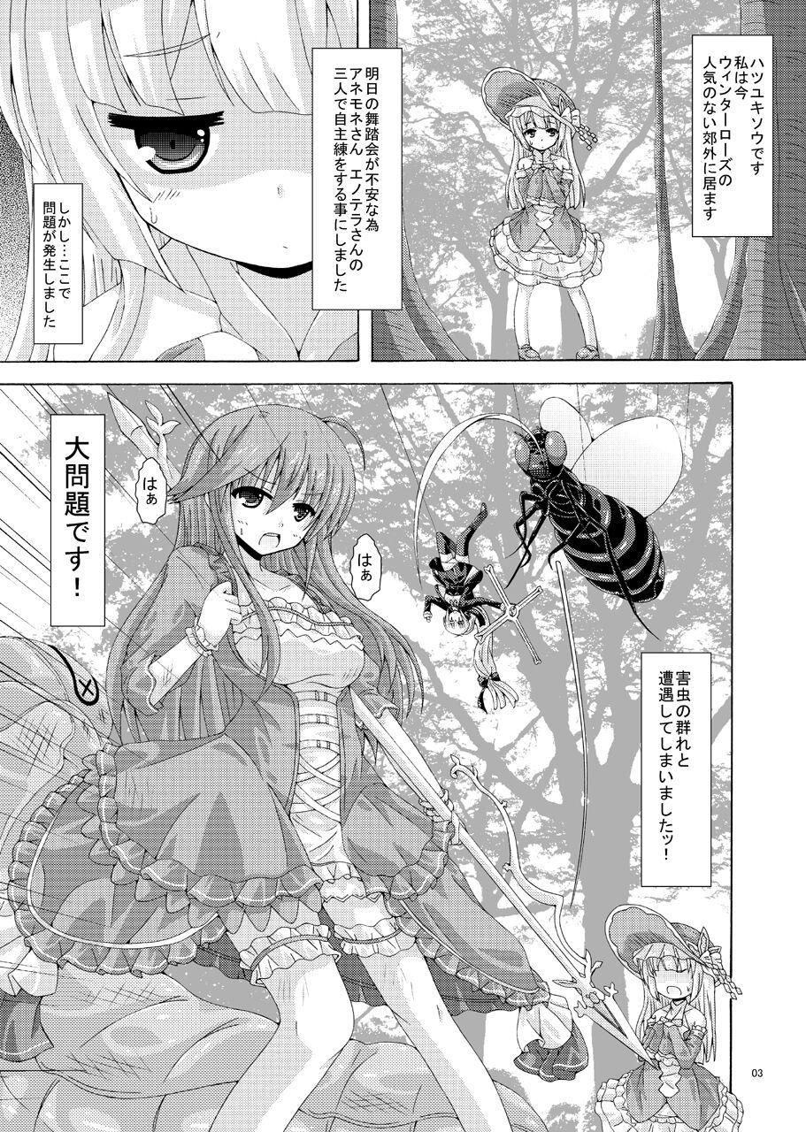 Super Hot Porn Gaichuu-tachi no Seikasai - Flower knight girl Colegiala - Page 2