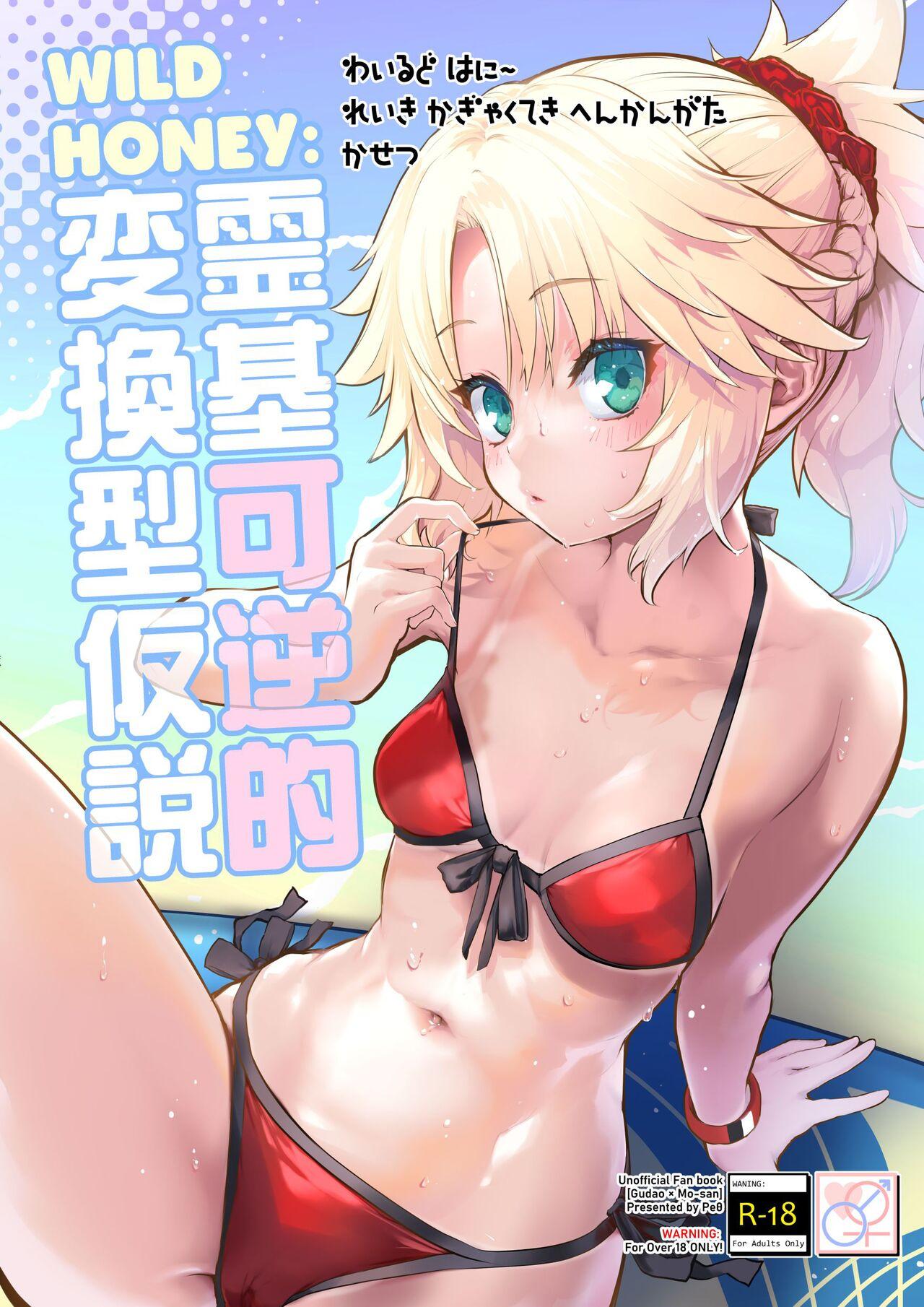 Free Amature Porn WILD HONEY:reiki kagyakuteki henkangatakasetsu - Fate grand order Joi - Picture 1