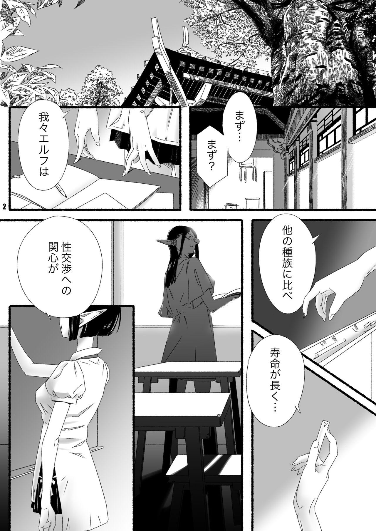 Handsome Elf-chan no Shusseiritsu Teika ni Okeru Kousatsu to sono Kaiketsusaku no Jissen - Original Egypt - Page 2