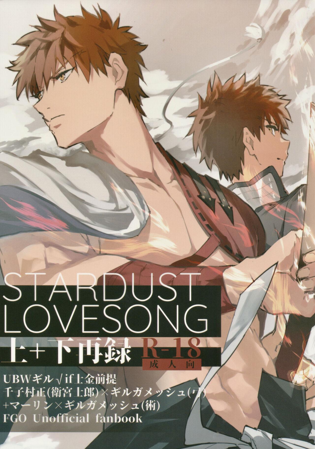 STARDUST LOVESONG 上+下再録 [SpringLOVE](まだら) (Fate/Grand Order) 0