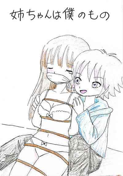 Neechan wa Boku no Mono 1