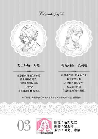bōkoku no hime wa saigo no kishi to kyōsei-teki ni tsugai ni sa se rareru | 亡国的公主被强制许配给了最后的骑士 3