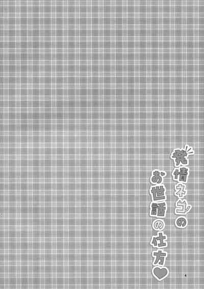 Hatsujou Neko no Osewa no Shikata 3