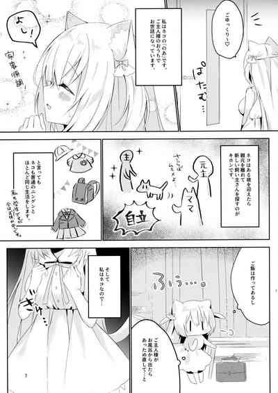 Hatsujou Neko no Osewa no Shikata 6
