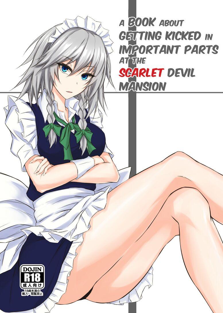 Gay Trimmed Koumakan de Daiji na Tokoro o Kerareru Hon | A book about getting kicked in important parts at the Scarlet Devil Mansion - Touhou project Pija - Picture 1