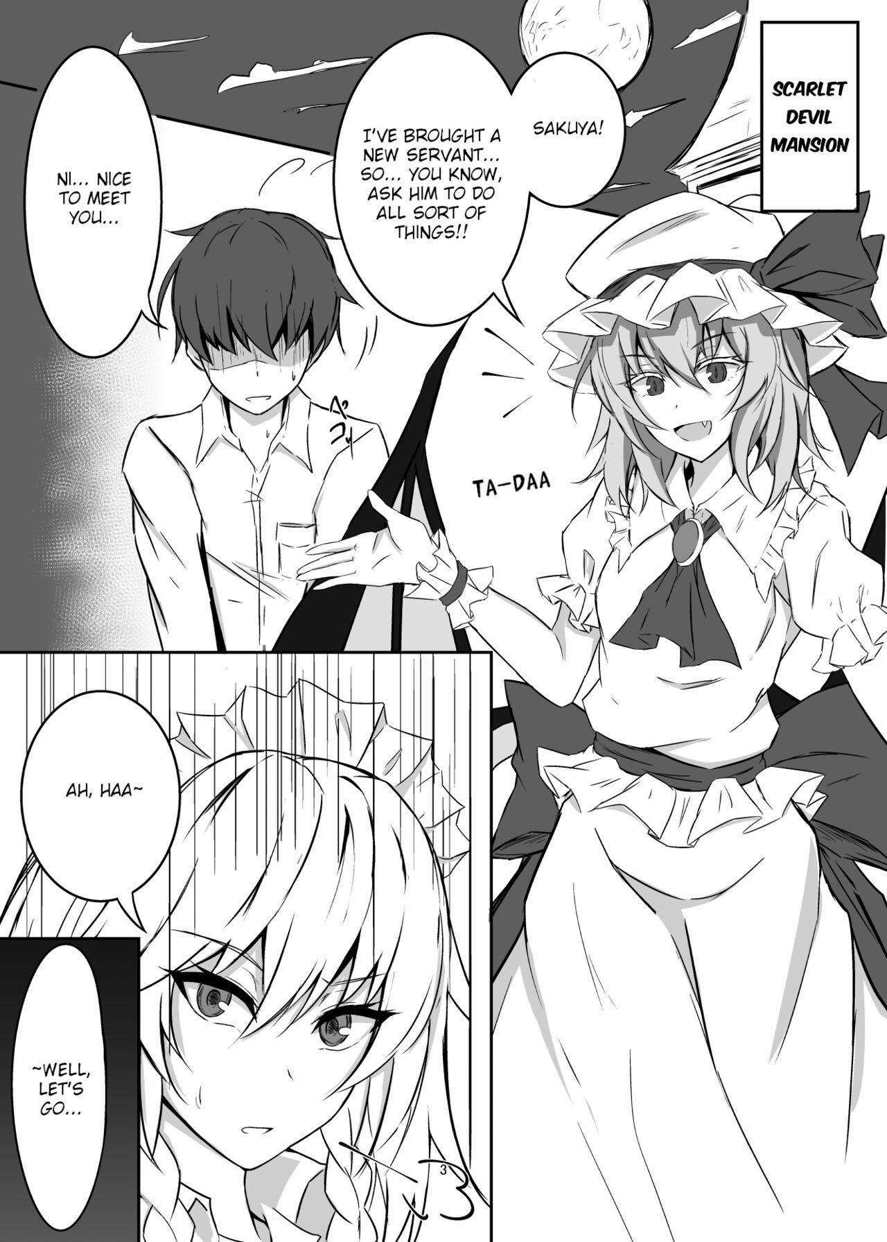 Gay Trimmed Koumakan de Daiji na Tokoro o Kerareru Hon | A book about getting kicked in important parts at the Scarlet Devil Mansion - Touhou project Pija - Page 3